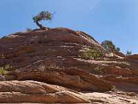 38a sandstone formation8698
